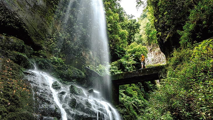 A waterfall surrounded by lush greenery, Los Tilos forest, La Palma
